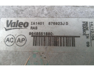 Интеркулер 9648551880 Citroen C4 I