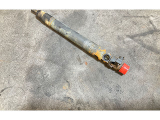 Форсунка 9686191080, 08006L9896    Peugeot Expert   