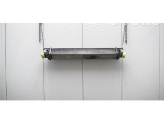 Интеркулер  50517002   Alfa Romeo Giulietta 1.4