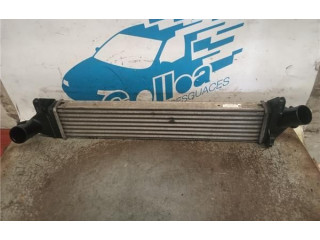 Интеркулер 8200409045 Dacia Logan I