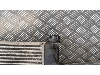 Интеркулер  144965154R   Dacia Sandero 1.5