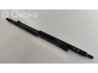 Амортизатор задней крышки