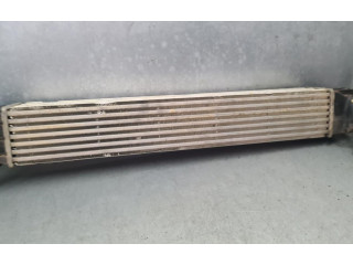 Интеркулер 8200880552, IA2002 Dacia Duster