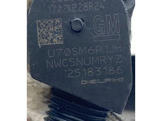 Форсунка 25183186, 28264951    Chevrolet Captiva   