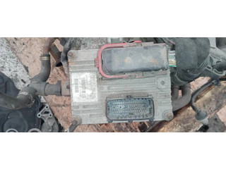 Řídící jednotka 51784957, 61601.099.06 Fiat Punto (188) 2006