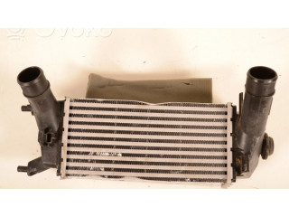 Интеркулер H1BG6K775AC Ford Ecosport 1.0