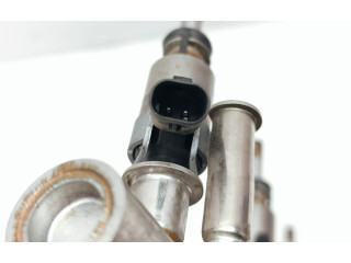 Комплект форсунок 1019139S02, 06J133317M Audi Q5 SQ5 CHJ