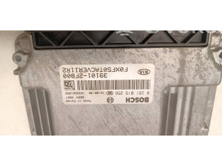 Блок управления двигателя 0281019256, 391012F800 KIA Sorento