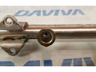 Топливная рампа 04E133320D, 1423310565 Volkswagen Golf Cross для двигателя CHPA