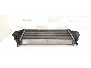 Интеркулер 2515000000, 1645001900 Mercedes-Benz R W251 3.0