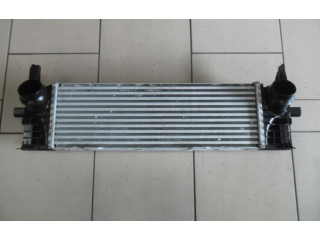 Интеркулер     BMW X3 G01 