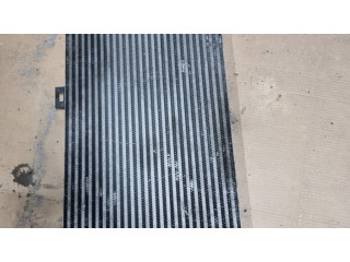 Интеркулер 9649976880, D1388 Peugeot 607 2.7