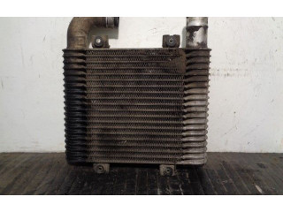 Интеркулер  2819042614   KIA Pregio 