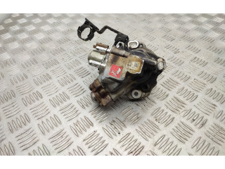 Комплект системы впрыска топлива 9674300080, 9674984080    Ford Kuga II  xrmc 