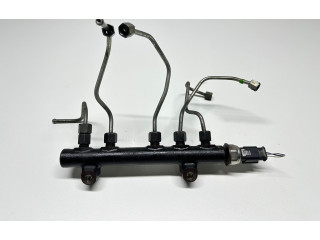 Топливная рампа 9684753080, 103423181 Citroen C4 I Picasso