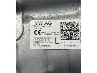 Подушка безопасности для колен T5G0841, 5G1880841G Skoda Octavia Mk3 (5E)