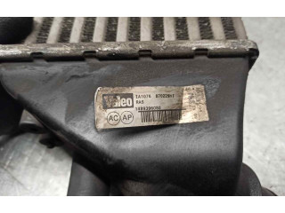 Интеркулер 1489396080, 870229HF Citroen C8