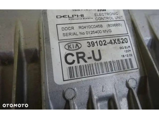 Řídící jednotka 391024X520, R0410C045B KIA Carnival 2003