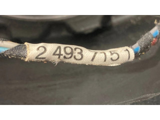 Volant BMW 5 E39 2001 2229103, 2493715