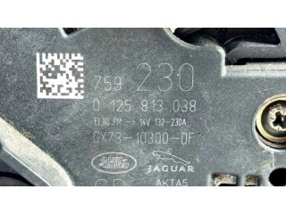 Генератор GX7310300DF, 0125813038 Land Rover Evoque I 2.0