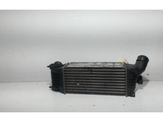 Интеркулер  00000384G9, 00000384G9   Citroen C5 