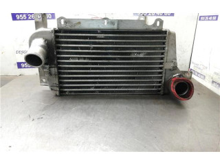 Интеркулер     Tata Safari 