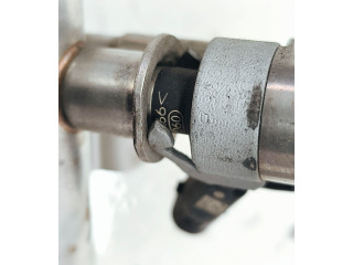 Комплект форсунок 1019139S02, 06J133317M Audi Q5 SQ5 CHJ