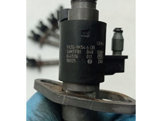 Форсунка Citroen C4 II Picasso