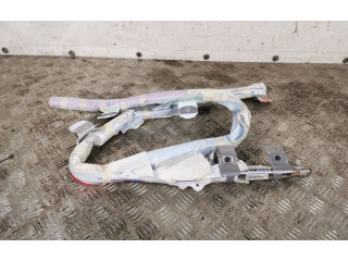 Надувная подушка для крыши