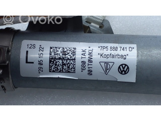 Надувная подушка для крыши