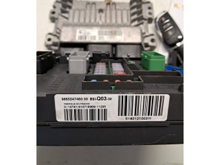 Другие блоки управления / модули 9665547480, 9678628780 Citroen DS4