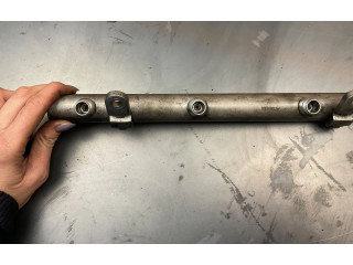 Vstřikovací lišta A6420700695, 0535500446 Mercedes-Benz R W251