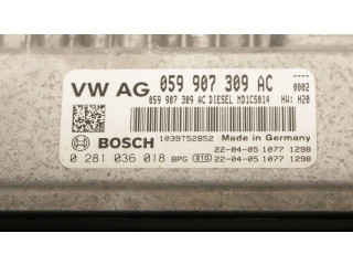 Řídící jednotka 059907309AC, 0281036018 Audi Q7 4M 2022