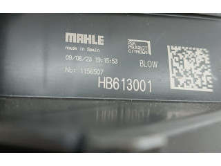 Вентилятор печки       Citroen C3 Aircross