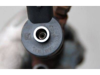 Форсунка 0445110239    Peugeot Expert   