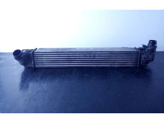 Интеркулер 8200880552A Dacia Duster