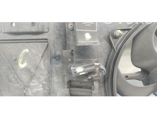 Вентилятор радиатора     1253A9, 1253A9    Citroen C4 Grand Picasso 