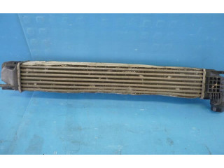 Интеркулер 8200880552 Dacia Duster