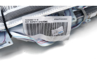 Боковая подушка безопасности 1035382, 0YAL07I2200603 Skoda Fabia Mk3 (NJ)