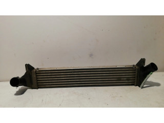 Интеркулер 8200409045 Dacia Dokker