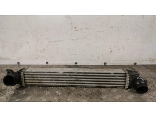 Интеркулер  1751850690402   Mini Cooper Countryman R60 2.0