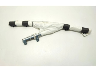 Надувная подушка для крыши 1036757-00-H Tesla Model X (XXX)