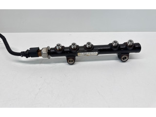 Топливная рампа 9804776780, 9676643880   Citroen C4 II Picasso  