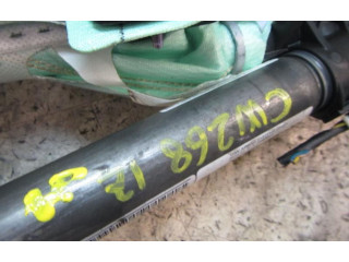 Подушка безопасности в сиденье 3C0880741E, 3C0880741D   Volkswagen Passat Alltrack