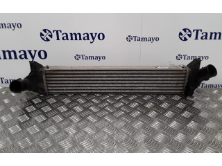 Интеркулер 8200409045 Dacia Logan Pick-Up