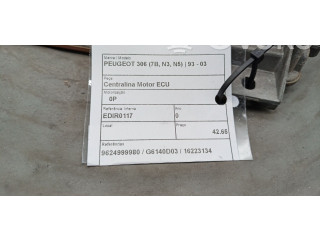 Блок управления двигателя 9624999980, 16223134   Peugeot 306