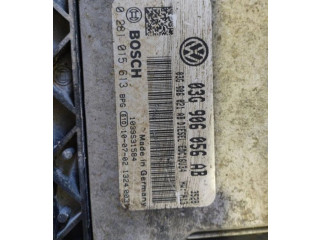 Řídící jednotka 0281015613   Volkswagen Caddy 