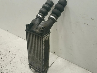 Интеркулер     Citroen Berlingo 