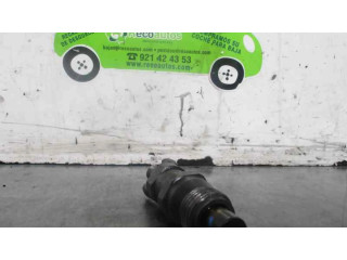 Форсунка 9430030212, BOSCH Tata Safari D/483DLTC55