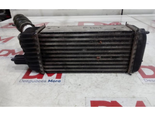 Панель приборов PEGATINABORRADA   Peugeot Expert       